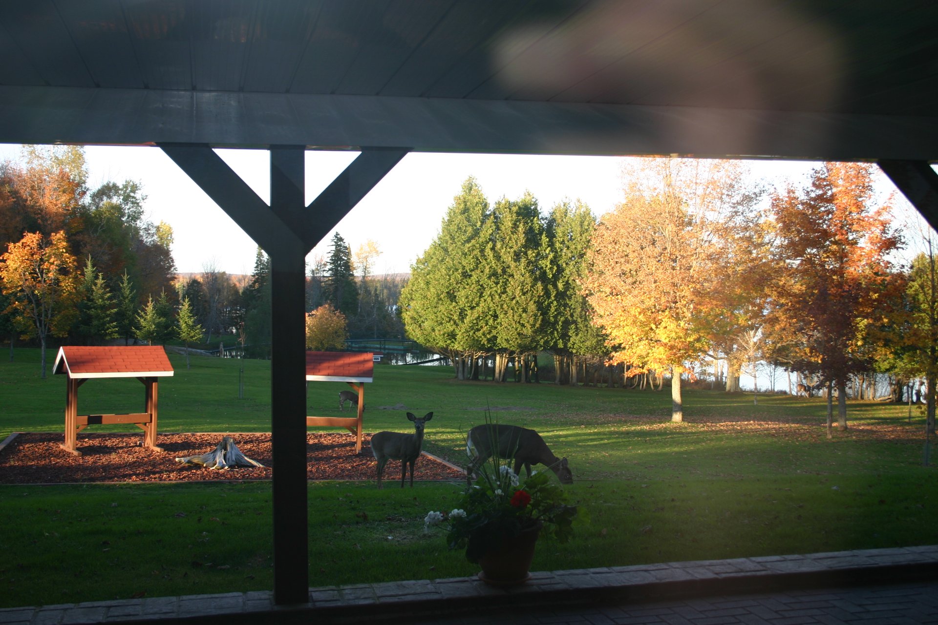 Photo du domaine 33